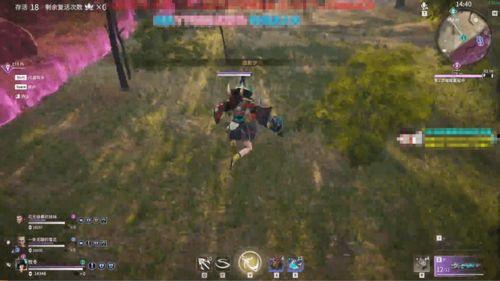 永劫最新吃瓜爆料,揭秘最新吃瓜爆料，揭开神秘面纱！