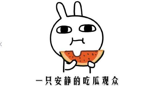 怎么成为吃瓜群众,如何轻松变身吃瓜群众，畅享娱乐圈风云变幻