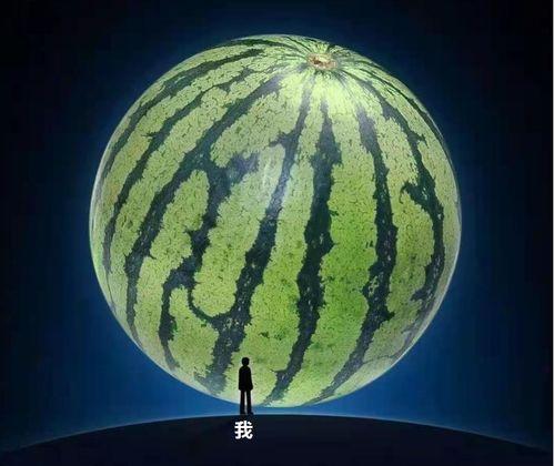 吃瓜看音乐,揭秘娱乐圈与音乐界的跨界魅力