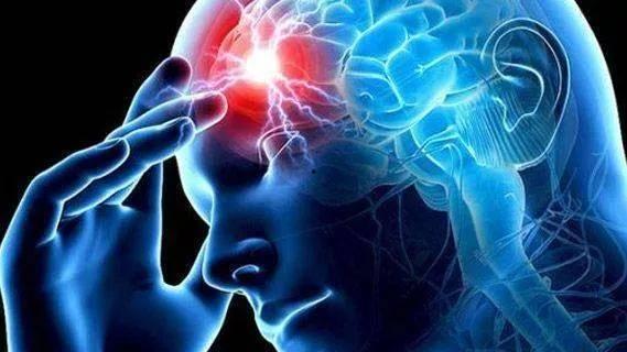 肩周炎吃么圆瓜呢,肩周炎患者适宜食用的圆瓜推荐