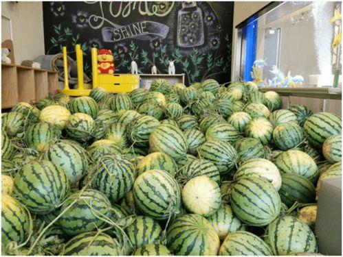 成都今天吃瓜,吃瓜群众聚焦最新瓜事